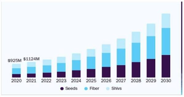 Hemp Industry Market Report: Growth, Regulation, and Forecast